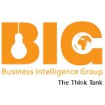 Business Intelligence Group of Consultants